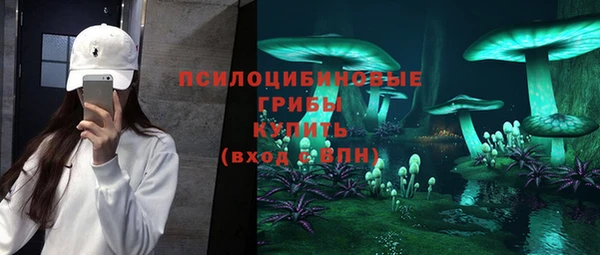 стаф Верхний Тагил