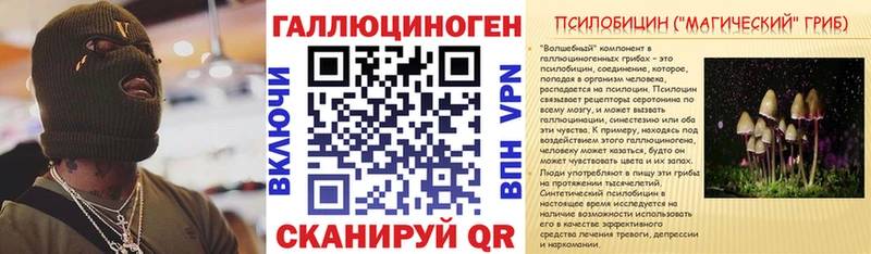 наркошоп  Новоржев  Псилоцибиновые грибы Psilocybe 