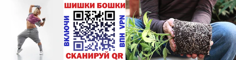 где продают   Новоржев  Марихуана конопля 